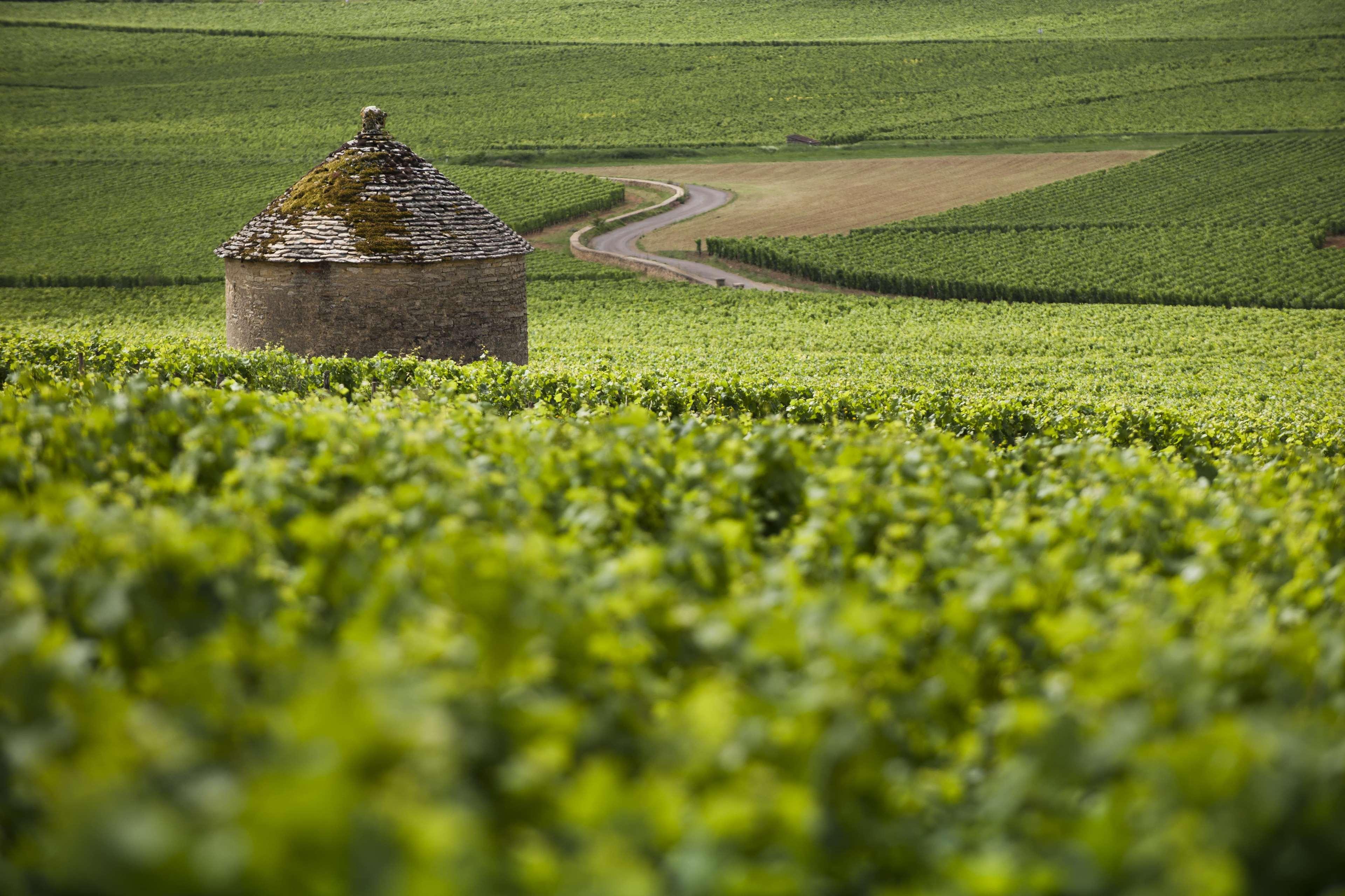 Kyriad Beaune Beaune  Ngoại thất bức ảnh